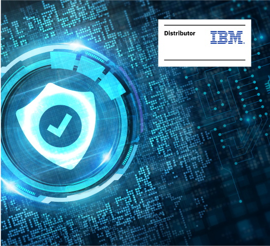 PUBSEC-519054 Newsletter_images_IBM.jpg